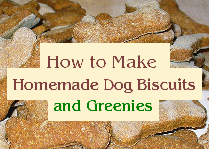 Homemade Dog Treats and Greenies